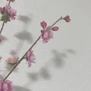 たこやき