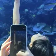 ももの画像