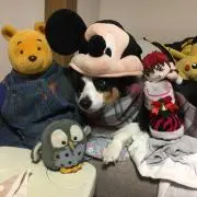 こうちゃん
