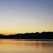 ショウの画像