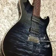 ぬこGの画像