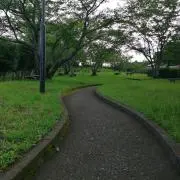 シャドウの画像
