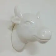 milk cow