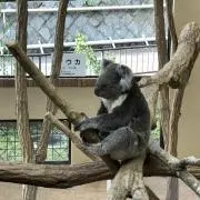 ウザチャンネルの画像
