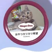 MHDの画像