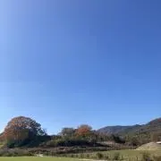 hhhの画像