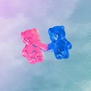 ぐみの画像