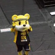 Pの画像