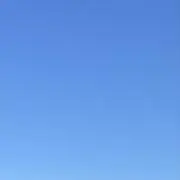 つぶあんの画像