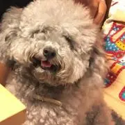 Mi