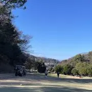マーシーの画像