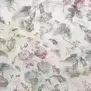 gnocchi〈プロフ必読お願いします〉の画像
