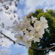 るんるんの画像