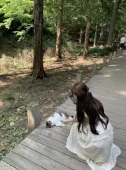 mの画像