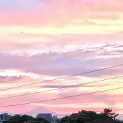 みわの画像