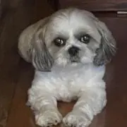 Zen