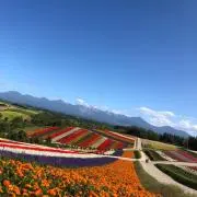 とも