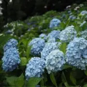 Hana☺︎⭐︎まとめ買い＆価格交渉歓迎の画像