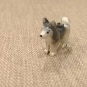 ともの画像