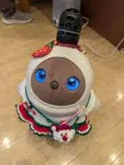 のんのの画像