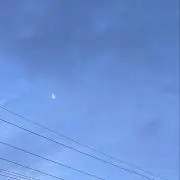あずさの画像