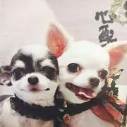ゆーちゃん