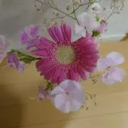Luckの画像