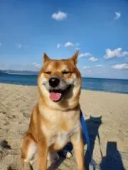 まるの画像