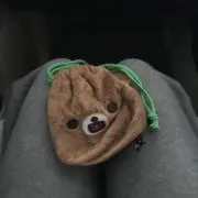 aaaの画像