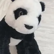 ぱんだやの画像