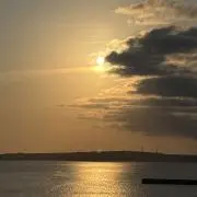Bzhzyの画像