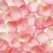 Mari☻の画像