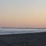 むつの画像