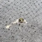 テイストの画像