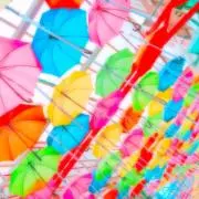 こてつの画像