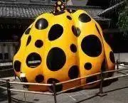れんこん餅••の画像