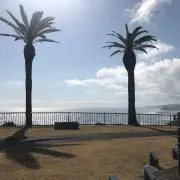 ゆきひらの画像