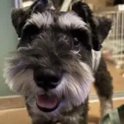 RYUの画像