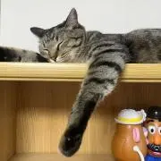 ばたあちゃんの画像