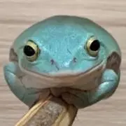 センパイ