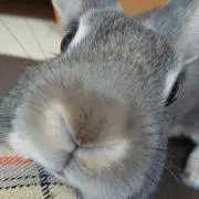 うーたんᙏ̤̫͚の画像
