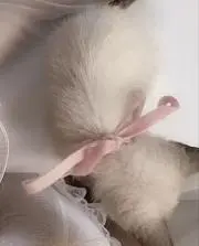 Miの画像