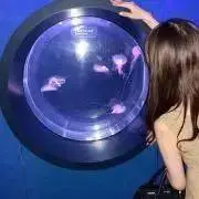るんの画像