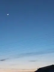 花子の画像