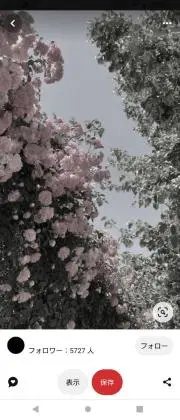 ♡SAKUSKY♡プロフィール必読の画像