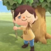 ハチの画像