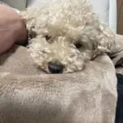 たなか