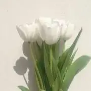 ruru.の画像