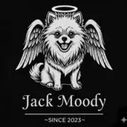 jackmoody023の画像