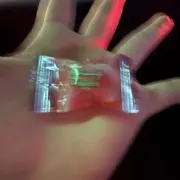 はの画像